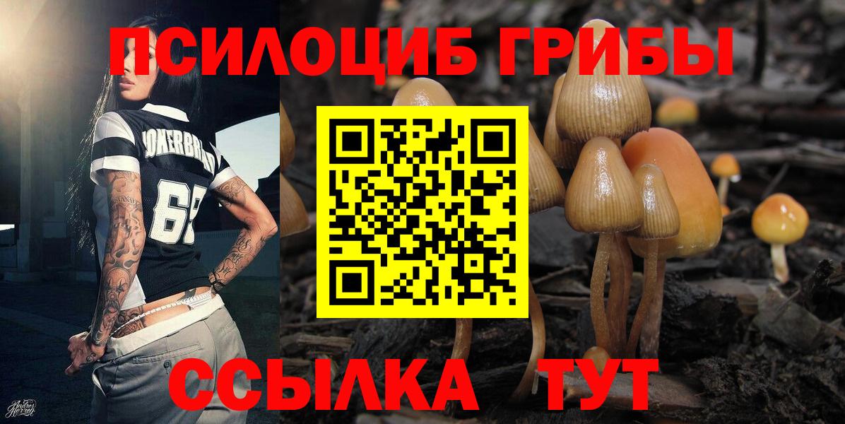 Вязьма  Галлюциногенные грибы прущие грибы  Вход с VPN 