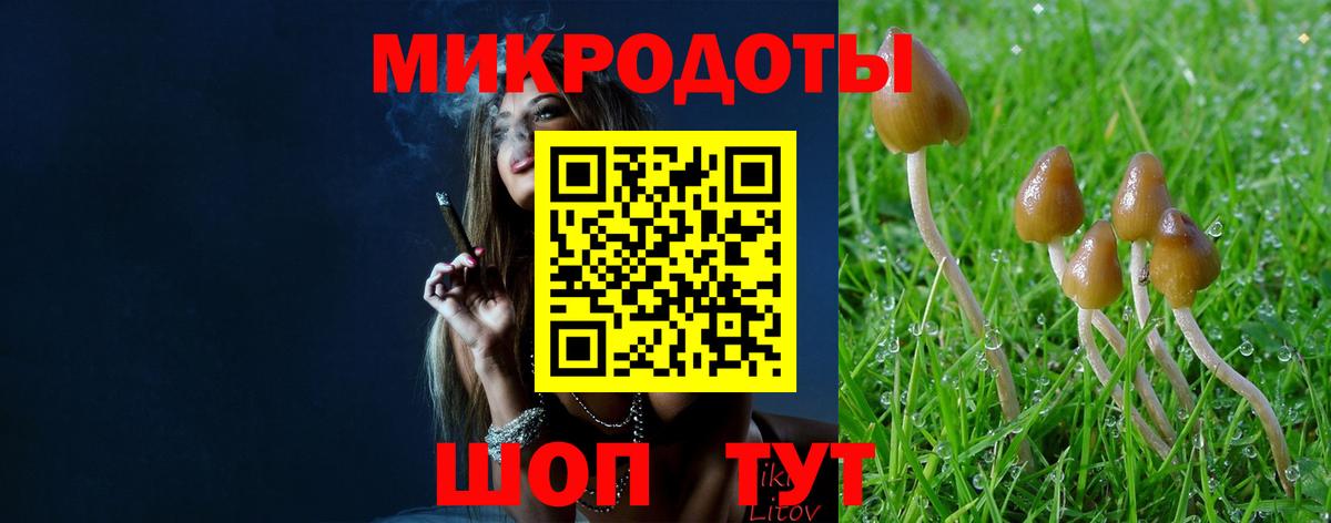 Псилоцибиновые грибы Magic Shrooms Вязьма